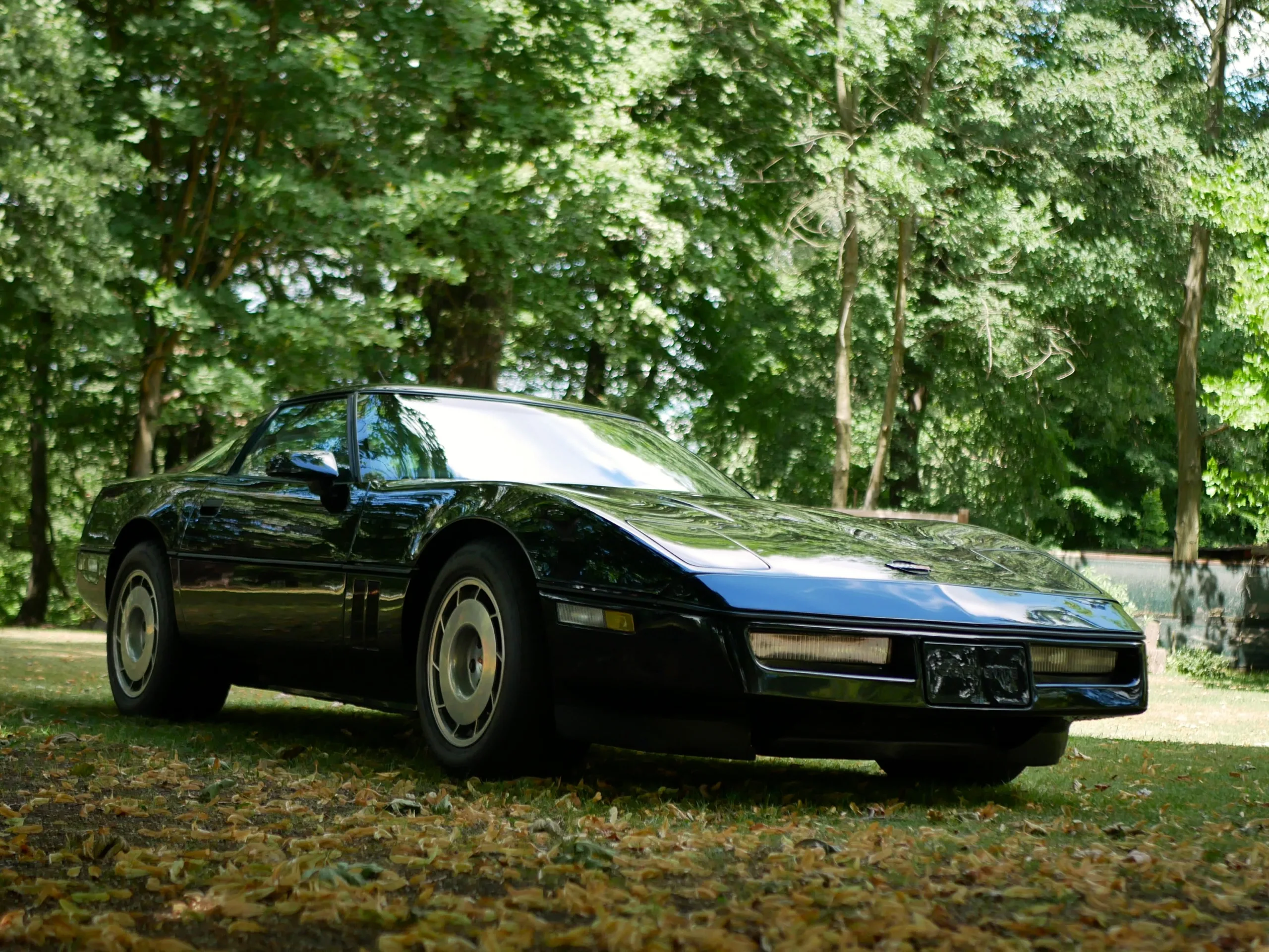 Corvette C4 - obrazek 19