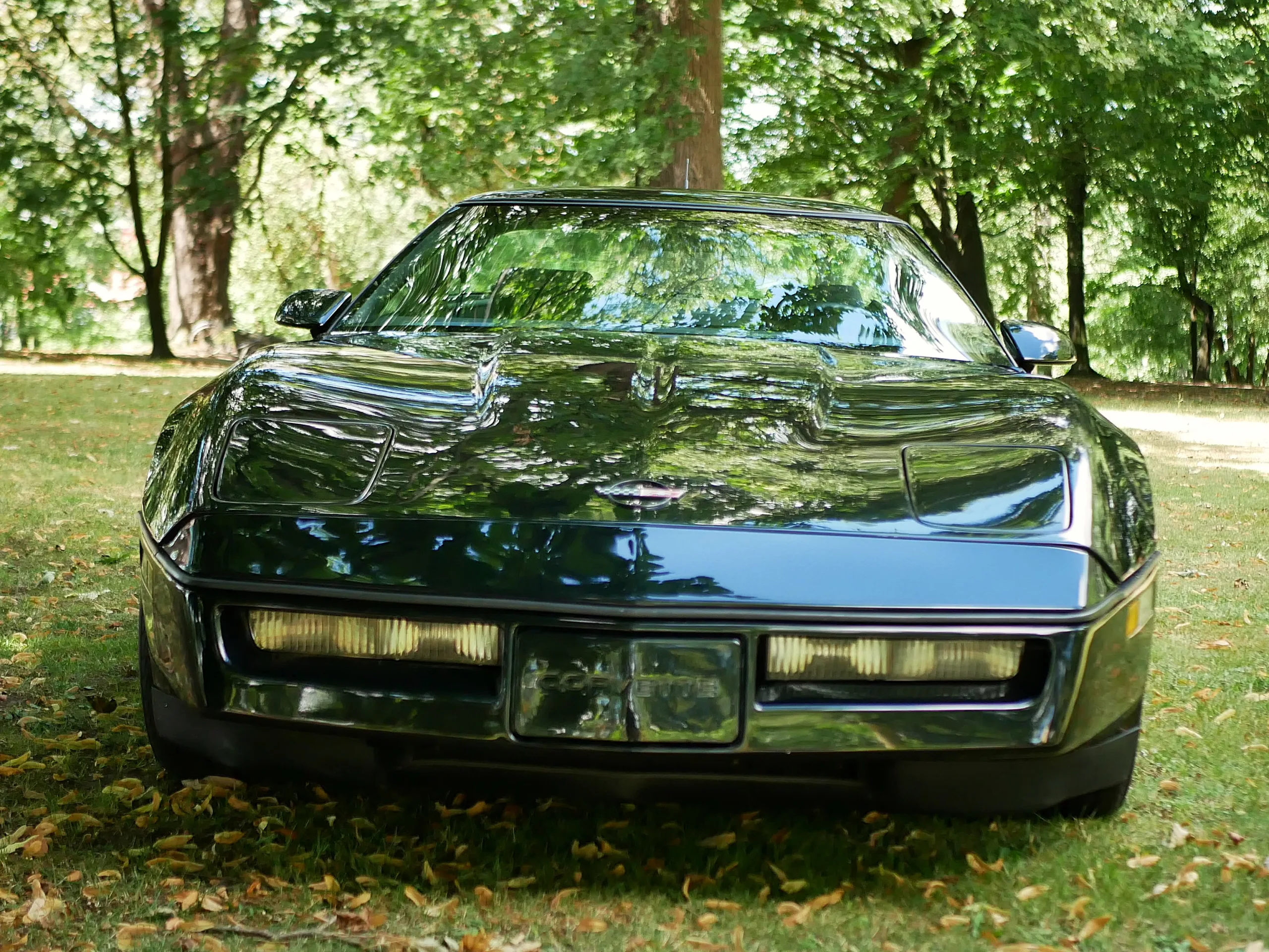 Corvette C4 - obrazek 20