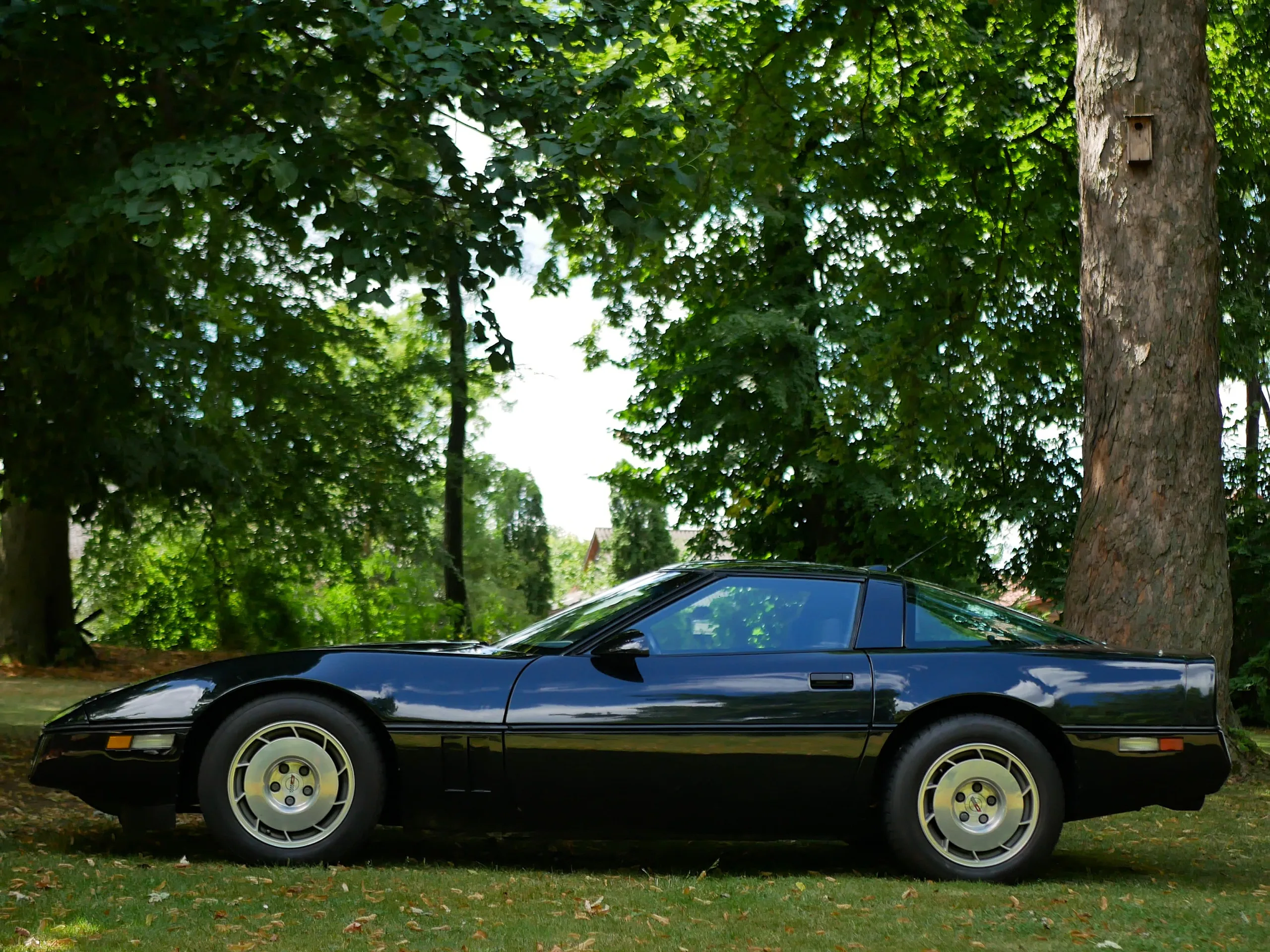 Corvette C4 - obrazek 22