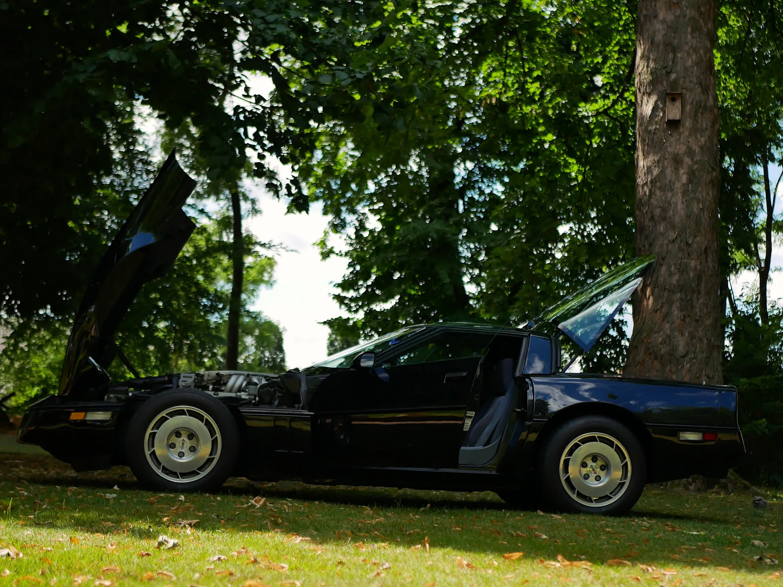 Corvette C4 - obrazek 3