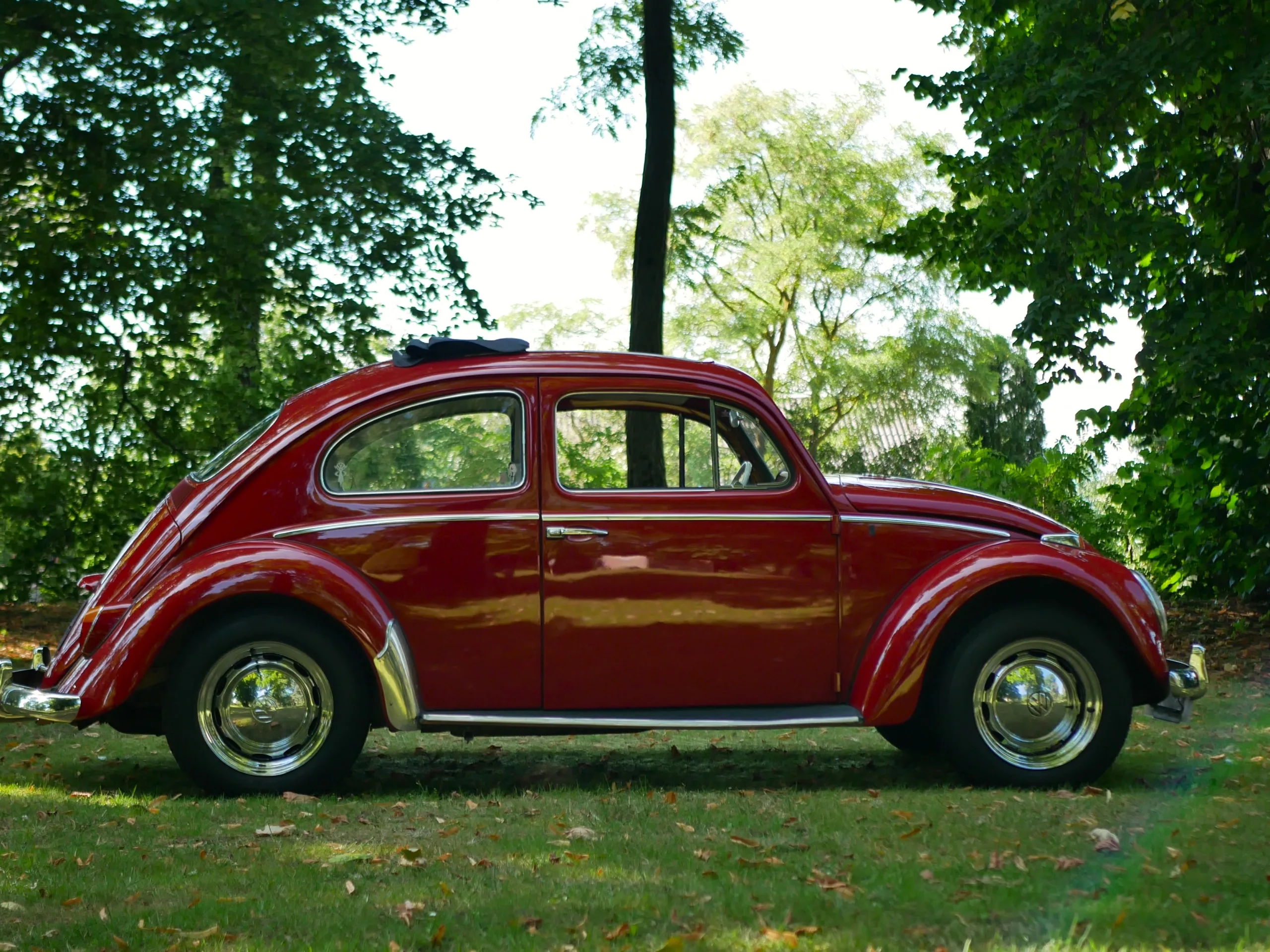 VW Garbus 1200 Beetle - obrazek 2