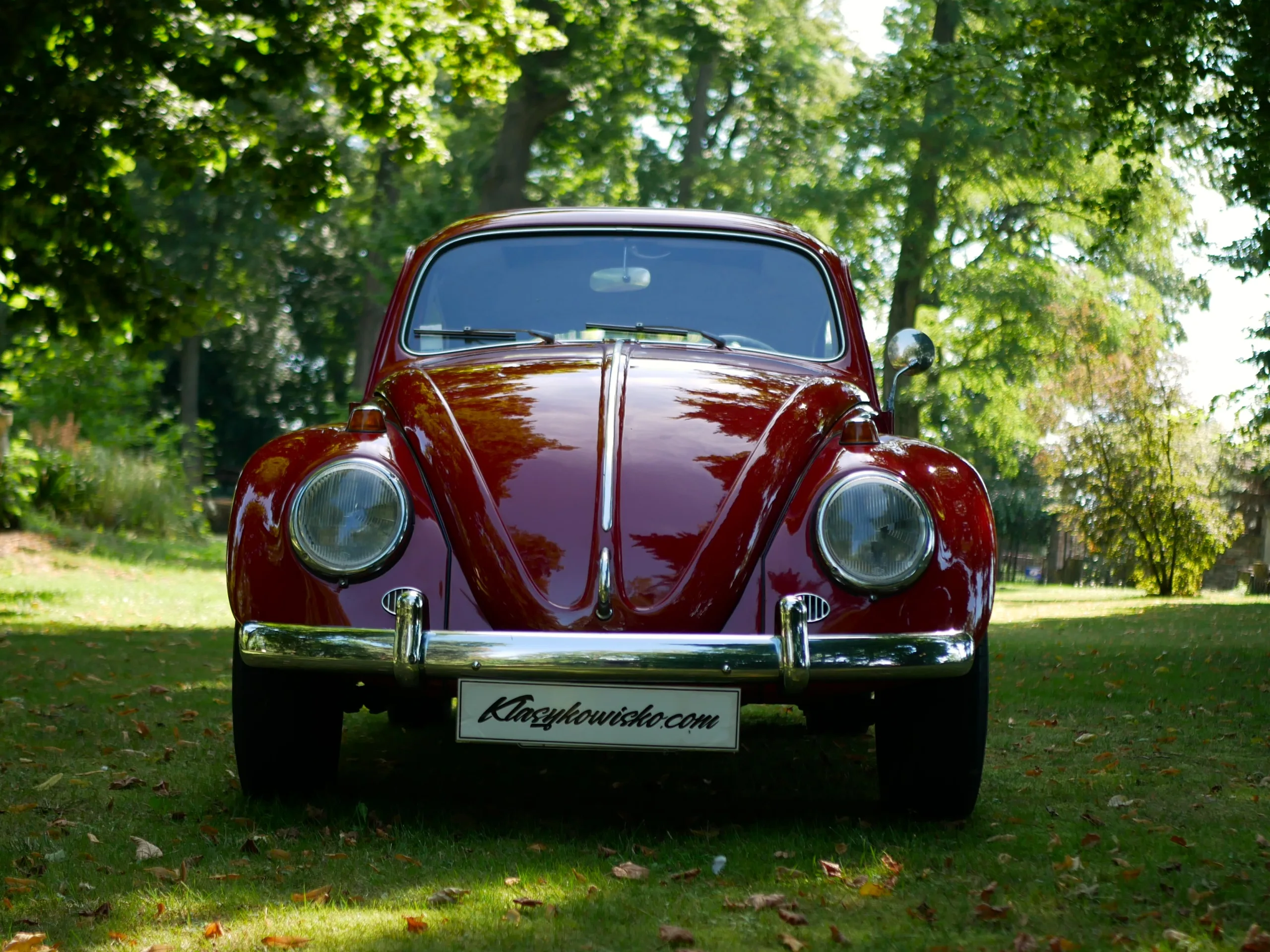 VW Garbus 1200 Beetle - obrazek 4