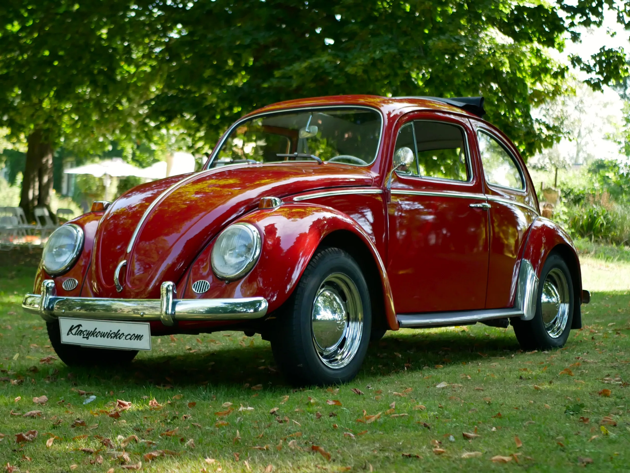 VW Garbus 1200 Beetle - obrazek 5