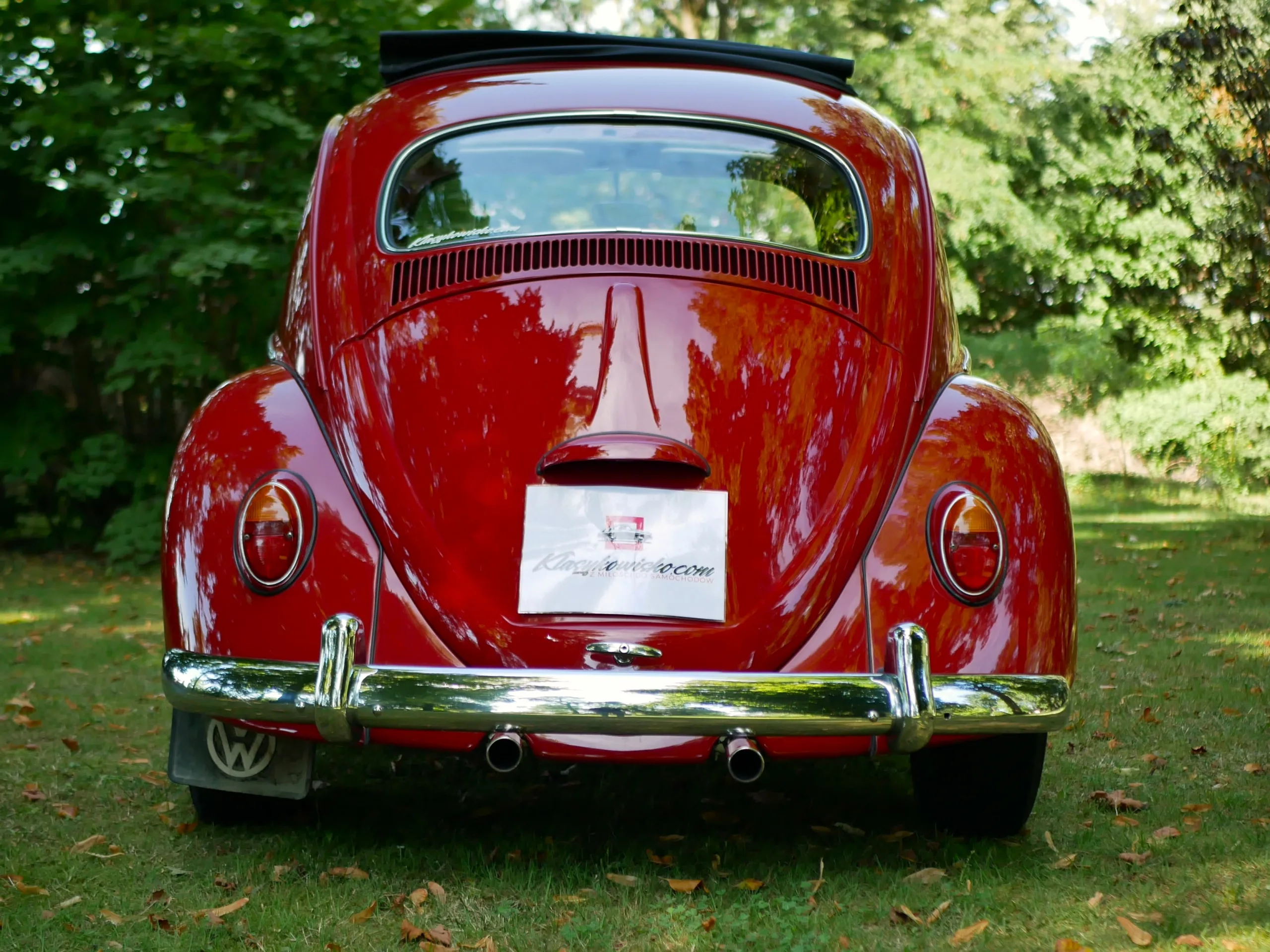 VW Garbus 1200 Beetle - obrazek 8